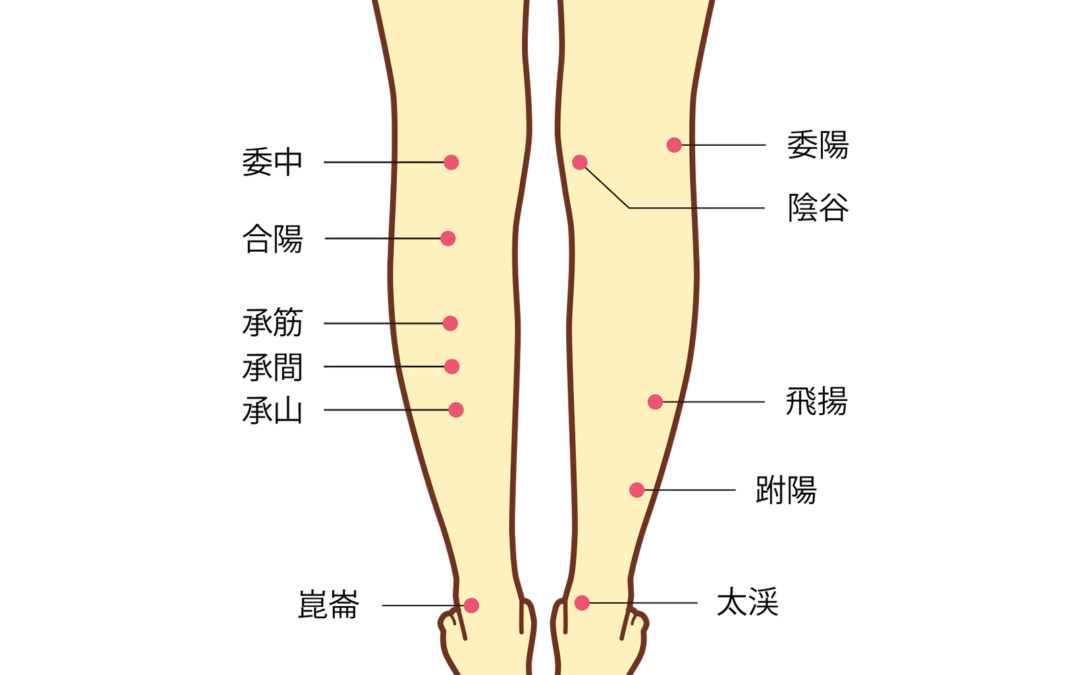 ふくらはぎの【つぼ】