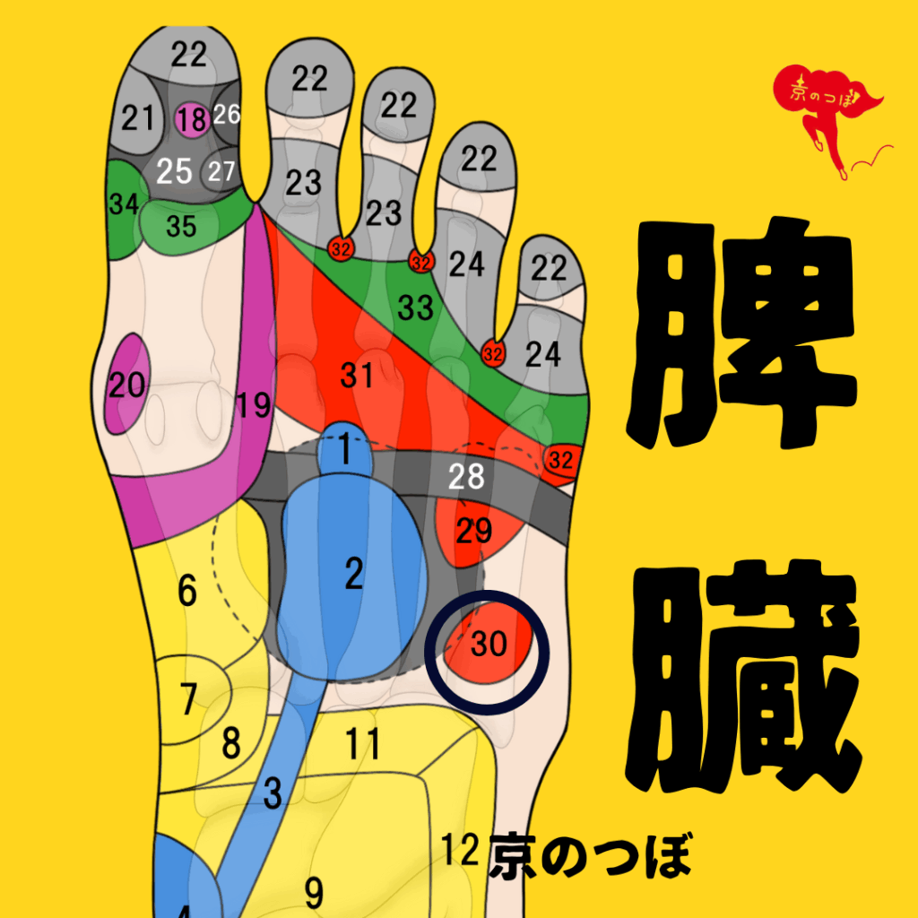 貧血 の ツボ