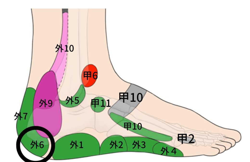 【足つぼ】骨盤