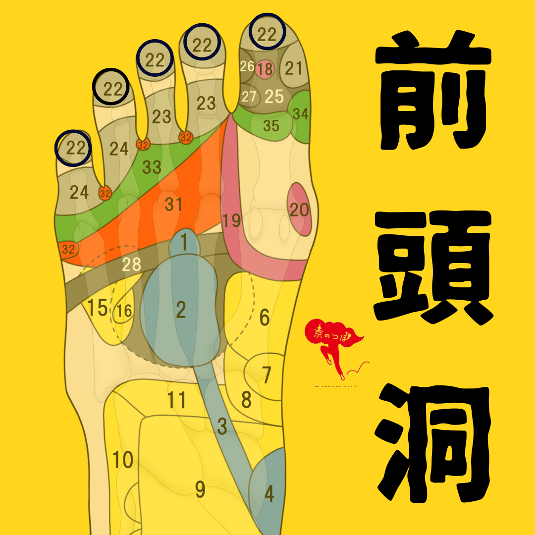 前頭洞の反射区とは？花粉症・頭が休まらない人に出やすい足裏サイン