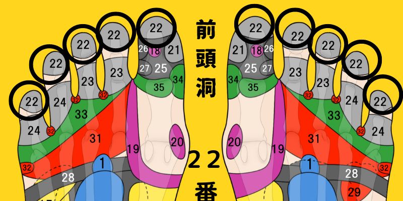 【足つぼ】前頭洞（ぜんとうどう） – 京のつぼby足つぼマニアの研究室