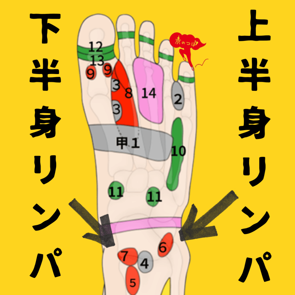 足つぼ】リンパの反射区とは？むくみ・だるさ改善｜くるぶし周りで巡り
