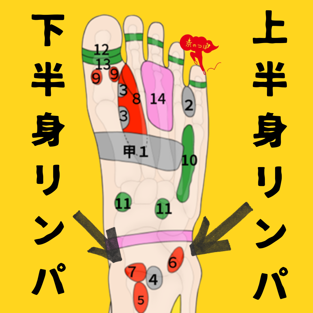 足つぼ】リンパの反射区とは？むくみ・だるさ改善｜くるぶし周りで巡り